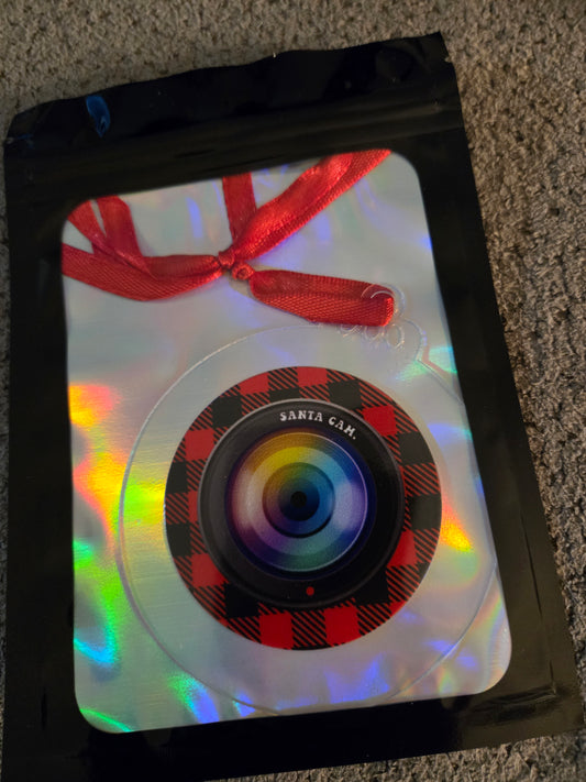 Santa Cam 3 inch Ornament